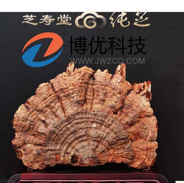 重慶洋世達實業(集團)有限公司旗下北京芝壽堂健康管理有限公司委托我司網站。正是看中我司強大的技術團隊和多年的建站經驗。